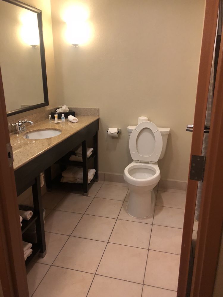 Comfort Suites Tampa Airport North Photo