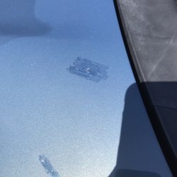 Reflecting Madisons Changing Capitol >> Capitol Car Cleaners 2019 All You Need To Know Before You Go With Reflecting Madisons Changing Capitol >> Capitol Car Cleaners 2019 All You Need To Know Before You Go With