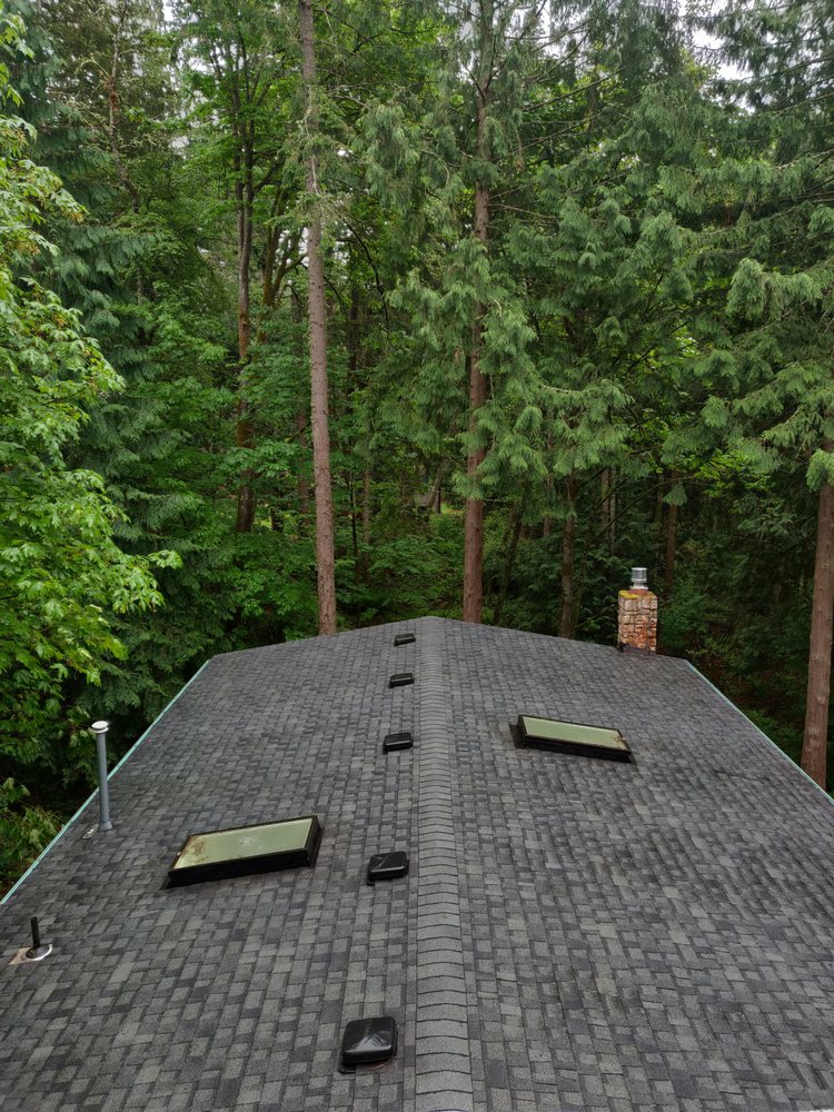 Green Roof and Gutter Cleaning, Bellingham