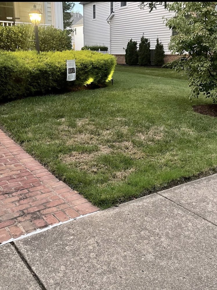 Campbell Lawn & Irrigation