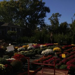 Countryview Farm Nursery Nurseries Gardening 599 Buckelew Ave Photo Of Countryview Farm Nursery Monroe Township Nj United States