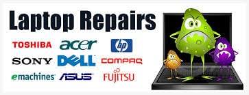 Evolutionary Computers
