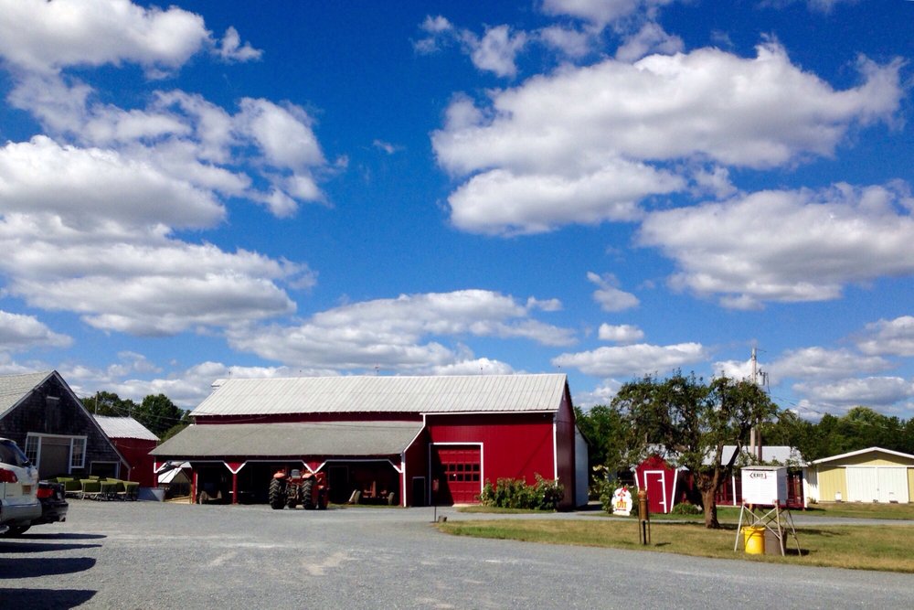 Lee Turkey Farm 34 Photos & 42 Reviews Fruits & Veggies 201