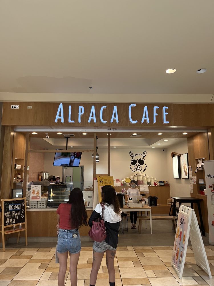 Alpaca Cafe
