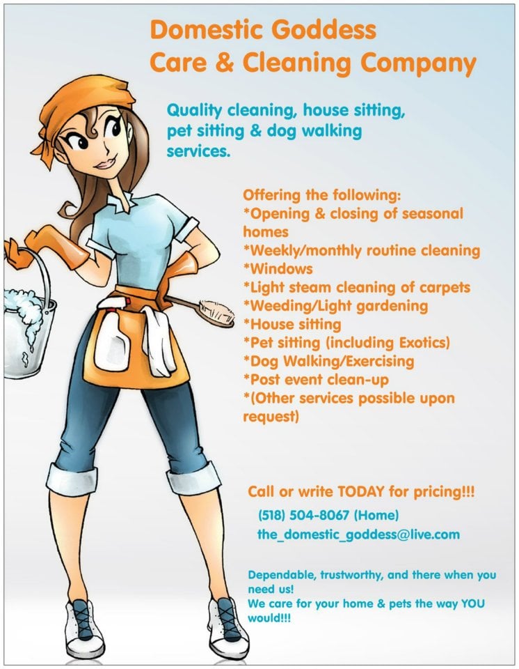 Domestic Goddess Care & Cleaning Company CLOSED Home Cleaning 213