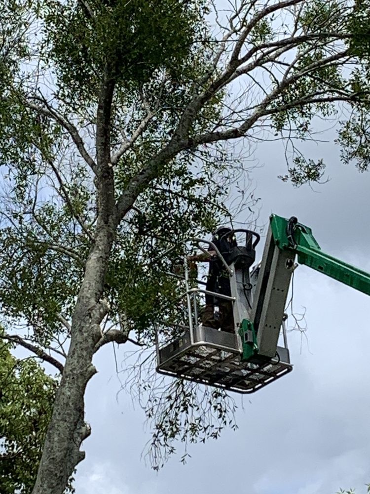 Tucker's Tree & Bobcat Services