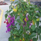 Rookwood Commons & Pavilion - 34 Reviews - Shopping ...