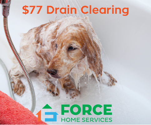 Force Home Services