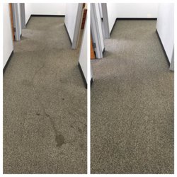Rug Cleaner Hire Rugs Ideas Carpet Cleaning Satisfaction Guaranteed