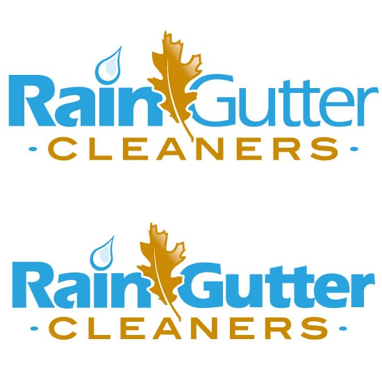 Any and All Rain Gutter Cleaners