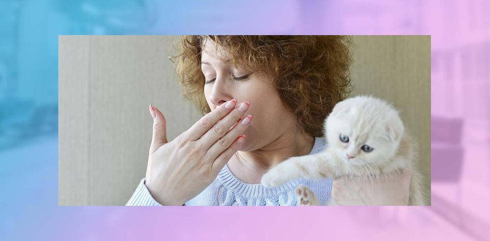 Allergy and Asthma Specialists of Greater Washington