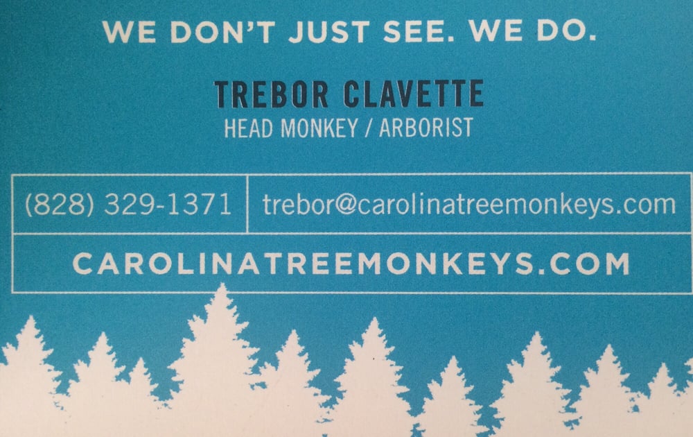 Carolina Tree Monkeys