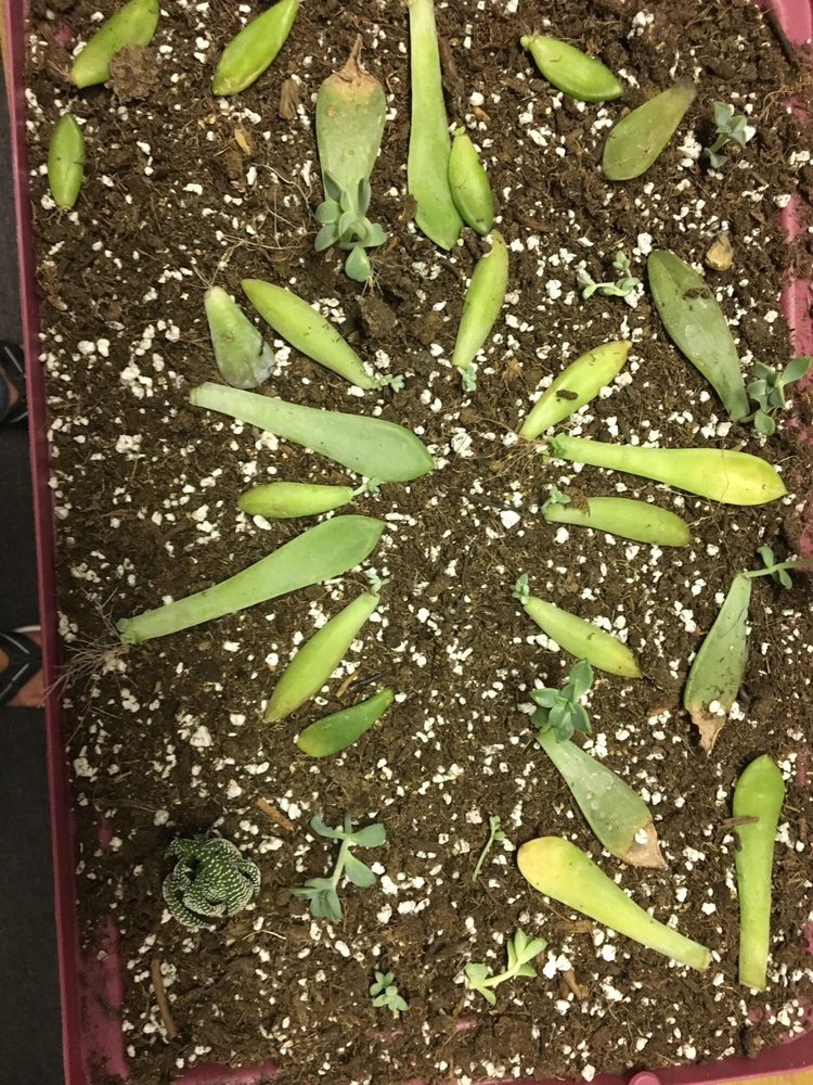 Mar-Lu View Nursery & Landscaping