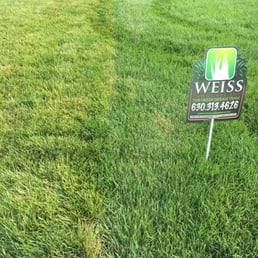 Photos For Weiss Lawn Care Inc Yelp Photo Of Weiss Lawn Care Inc Winfield Il United States Experience The