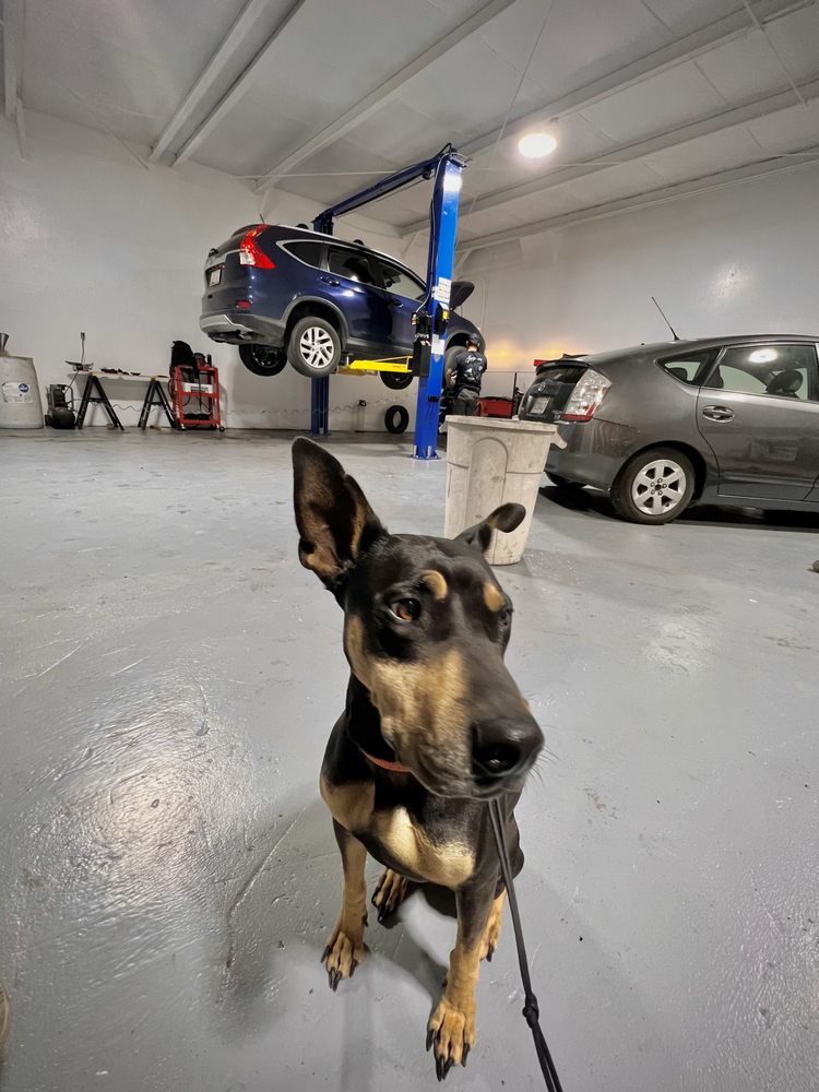 Jonny Prius & EV Repair
