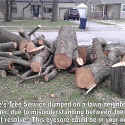 Joe S Tree Service Services 400 E Wayland St Springfield Photo Of Joe S Tree Service Springfield Mo United States See Full Story