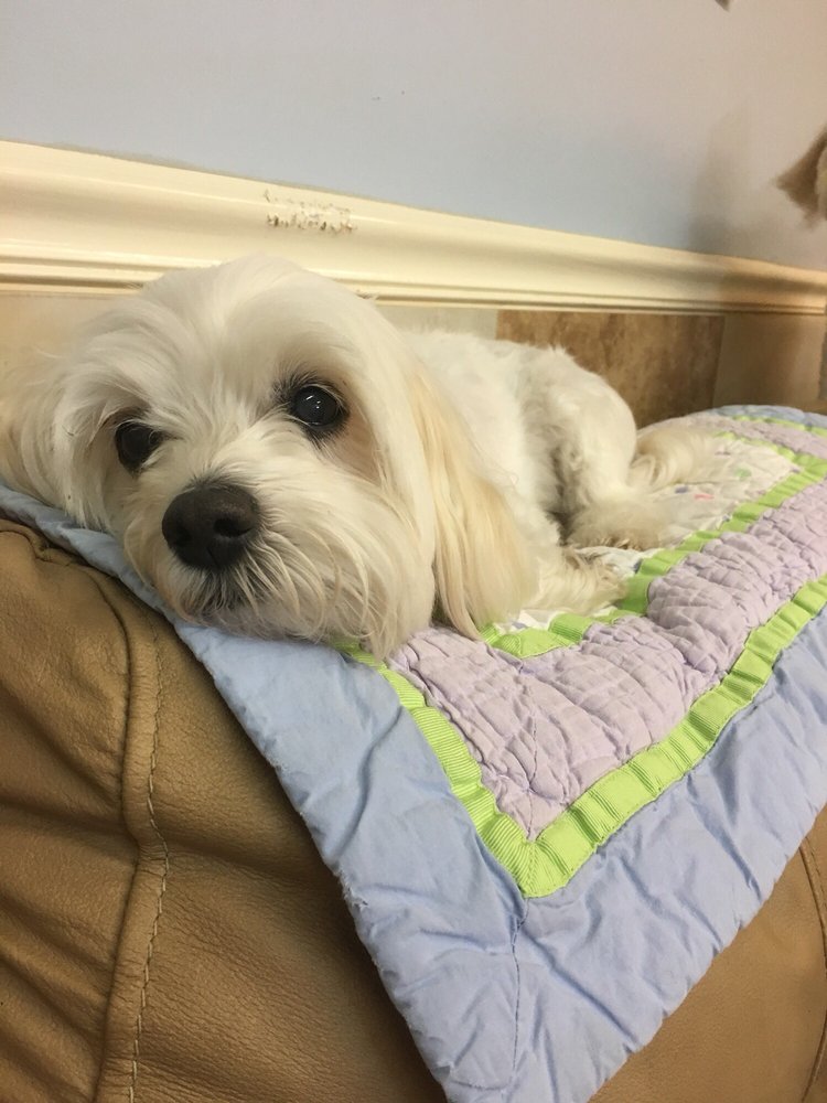 Barkers Pet Center
