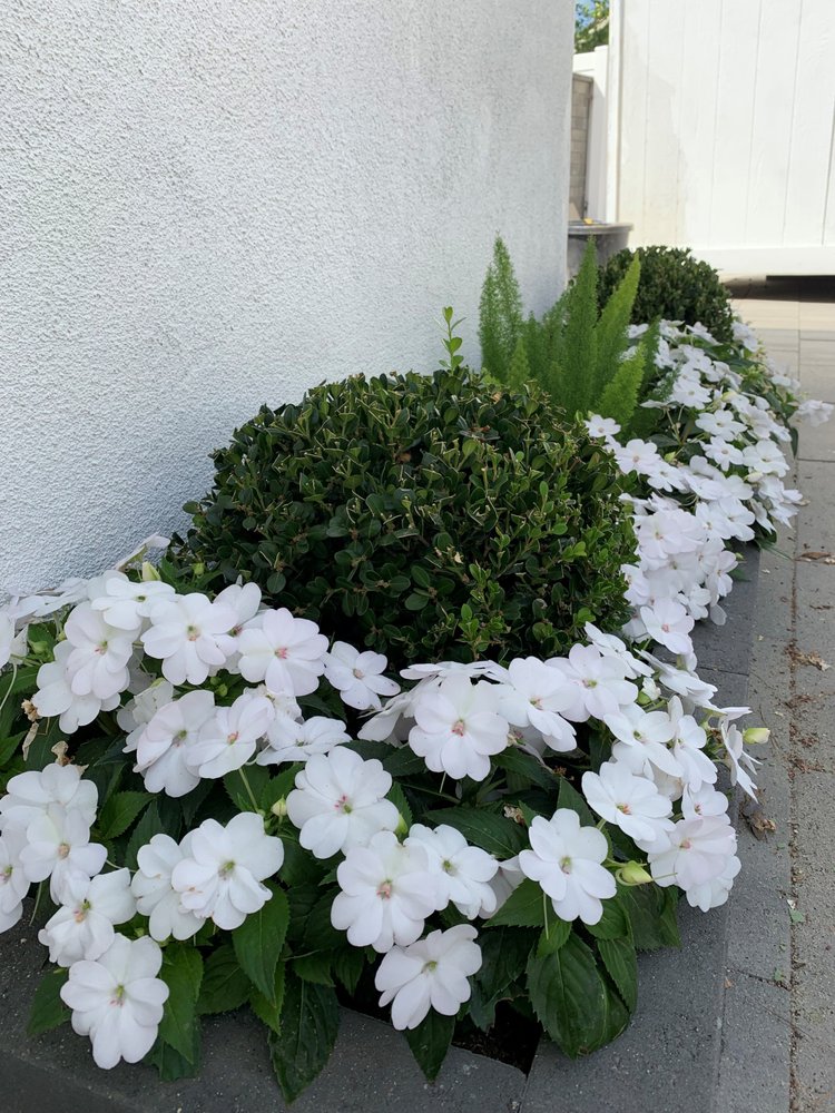 The Good Plant