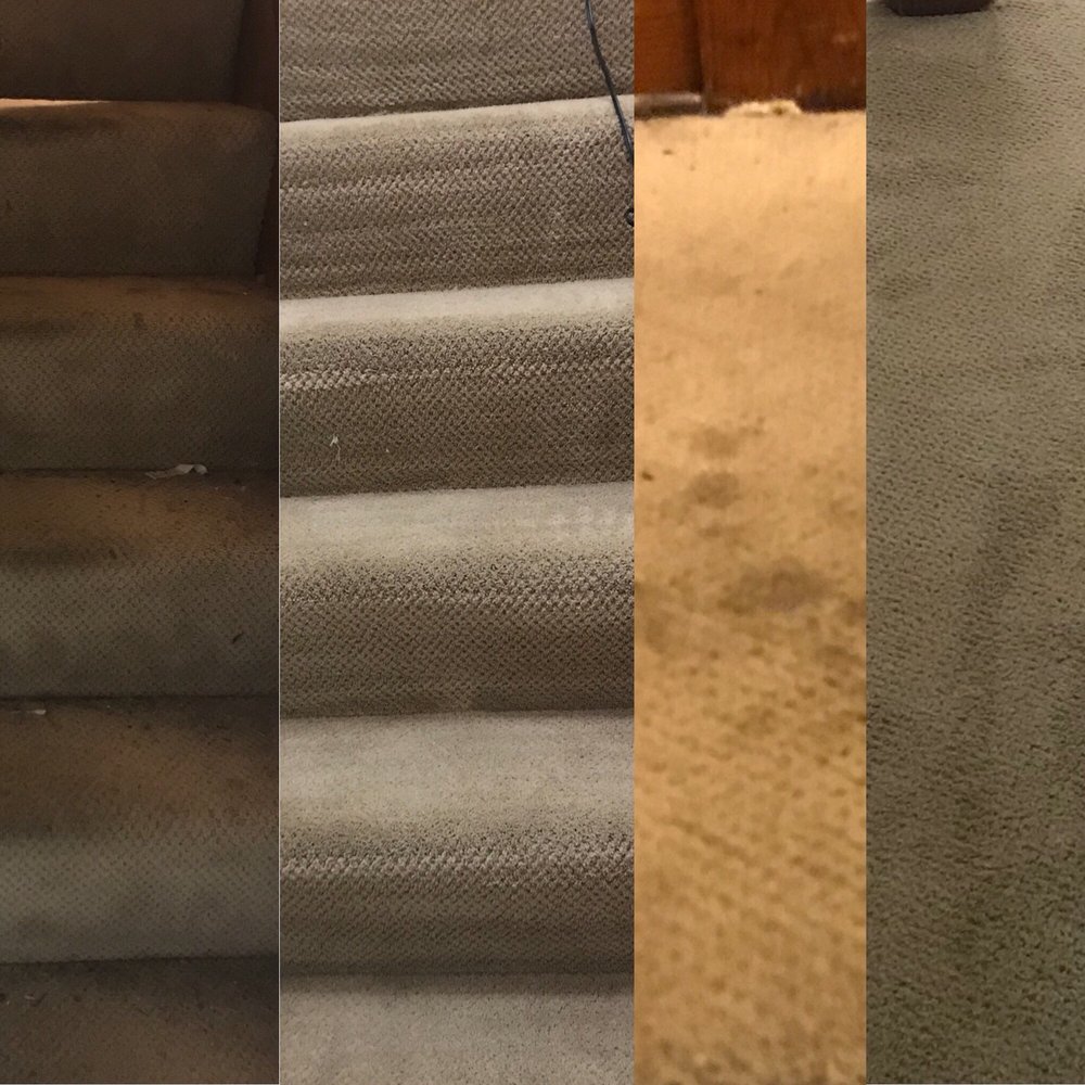 image of business Priority Carpet Cleaning