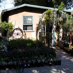 Nurseries Gardening In Pasadena Yelp Lincoln Avenue Nursery