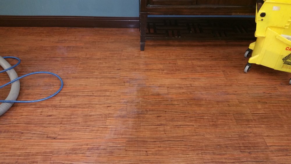 Prokleen Carpet & Upholstery Care