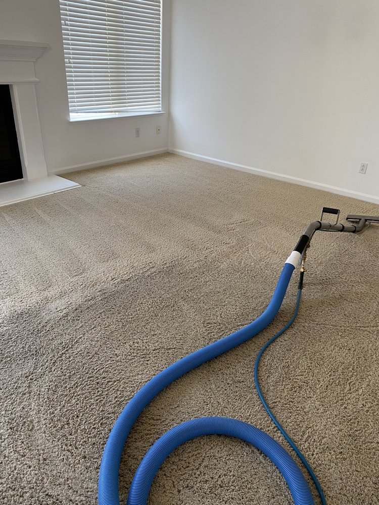 True Clean Carpet Cleaning