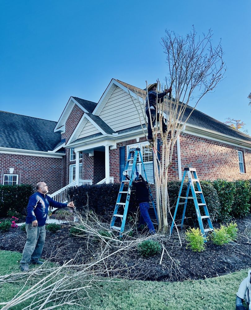 G Juarez Lawn and Landscaping
