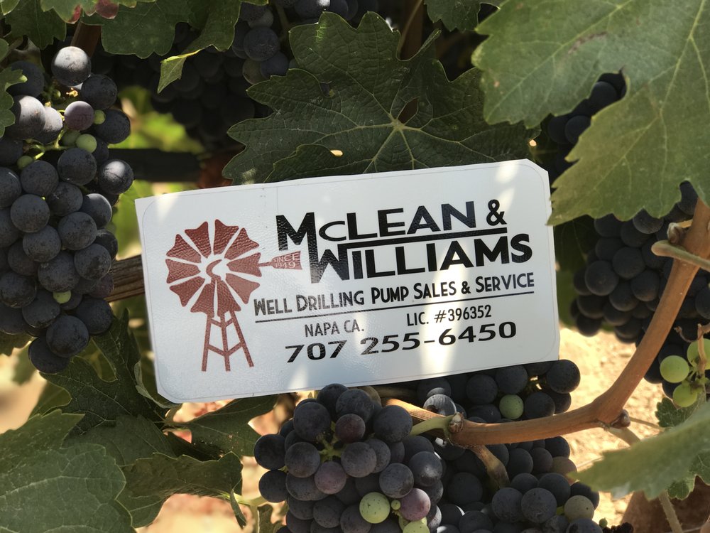 McLean & Williams