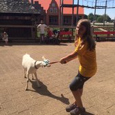 Nelis’ Dutch Village - 50 Photos & 32 Reviews - Amusement Parks - 12350 James St, Holland, MI ...