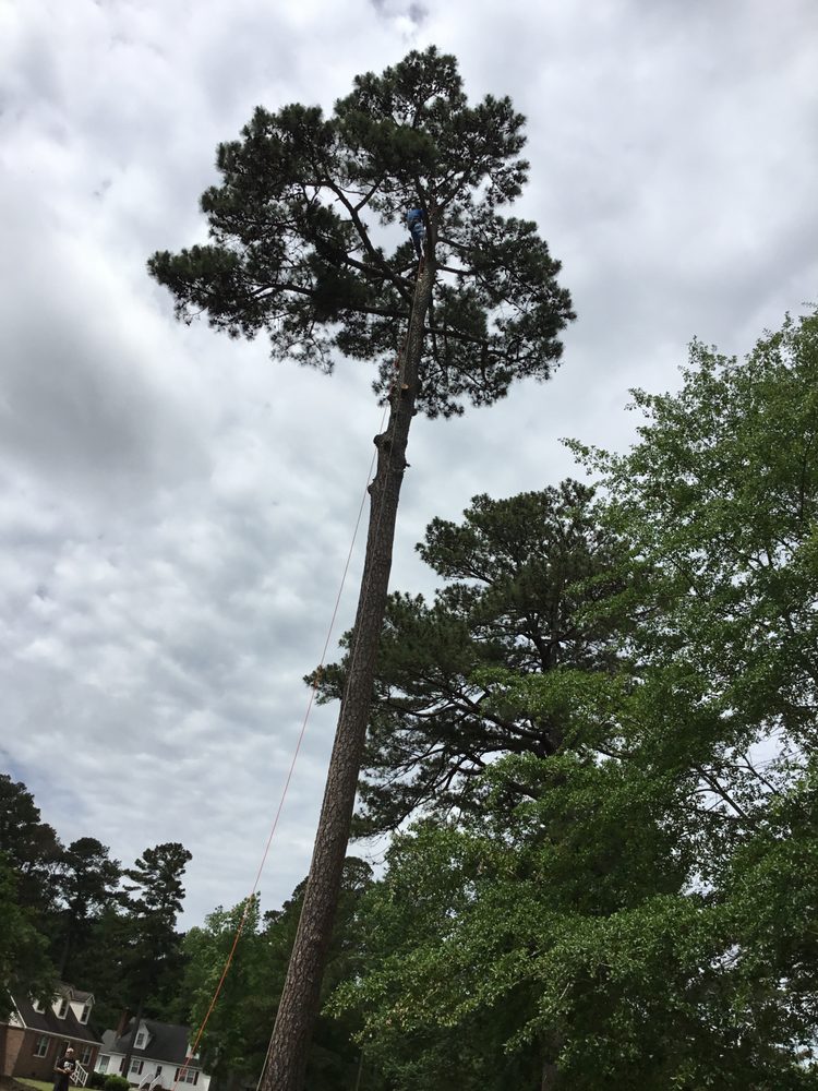 Billy's Tree Services