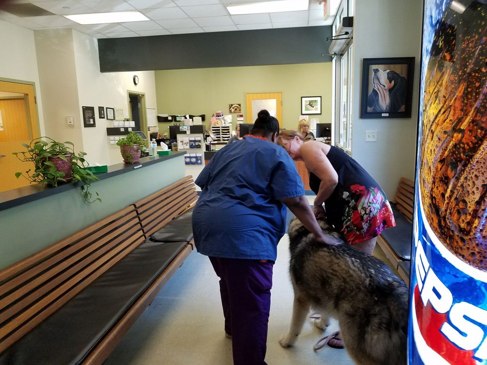 Tufts Veterinary Emergency Treatment & Specialties 11 Photos & 52