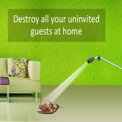 Photo of Arrow Exterminating - Brisbane Queensland, Australia