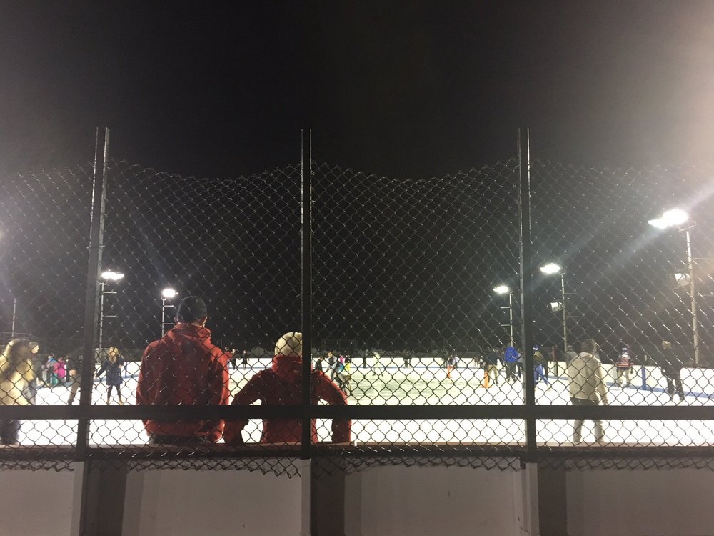 Bear Mountain Skating Rink - Skating Rinks - Bear Mountain State, Bear