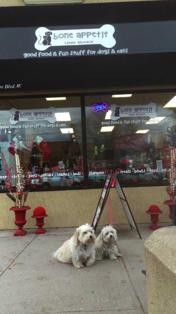 Dog Grooming Lakeshore Etobicoke Dog Grooming Lakeshore Etobicoke