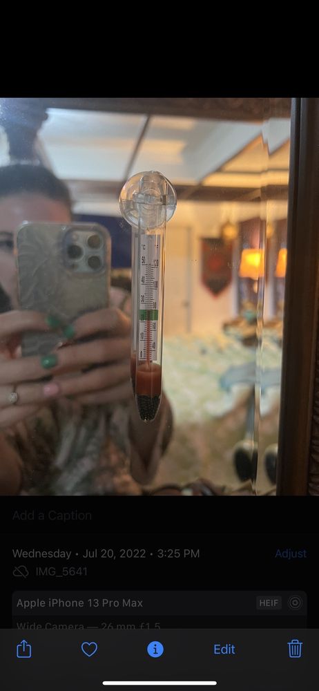 image of business AC Wizard