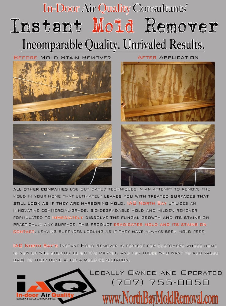 In-Door Air Quality Consultants