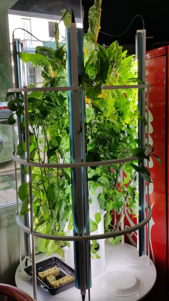 Photos for Bali Kitchen - Yelp