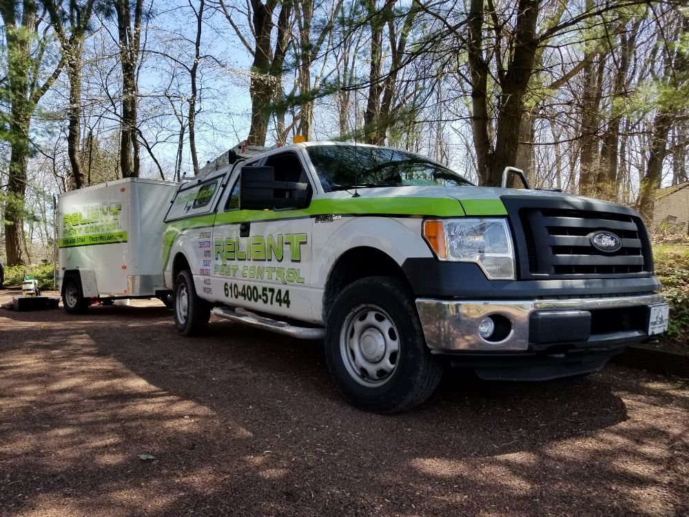 Reliant Pest Control
