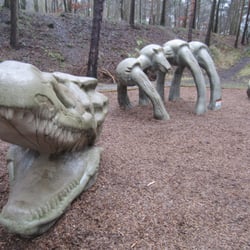 Irchester Country Park Park Forests Gipsy Lane - 