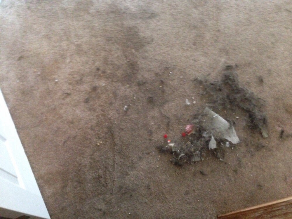 His Masters Carpet Cleaning & Chimney Sweep