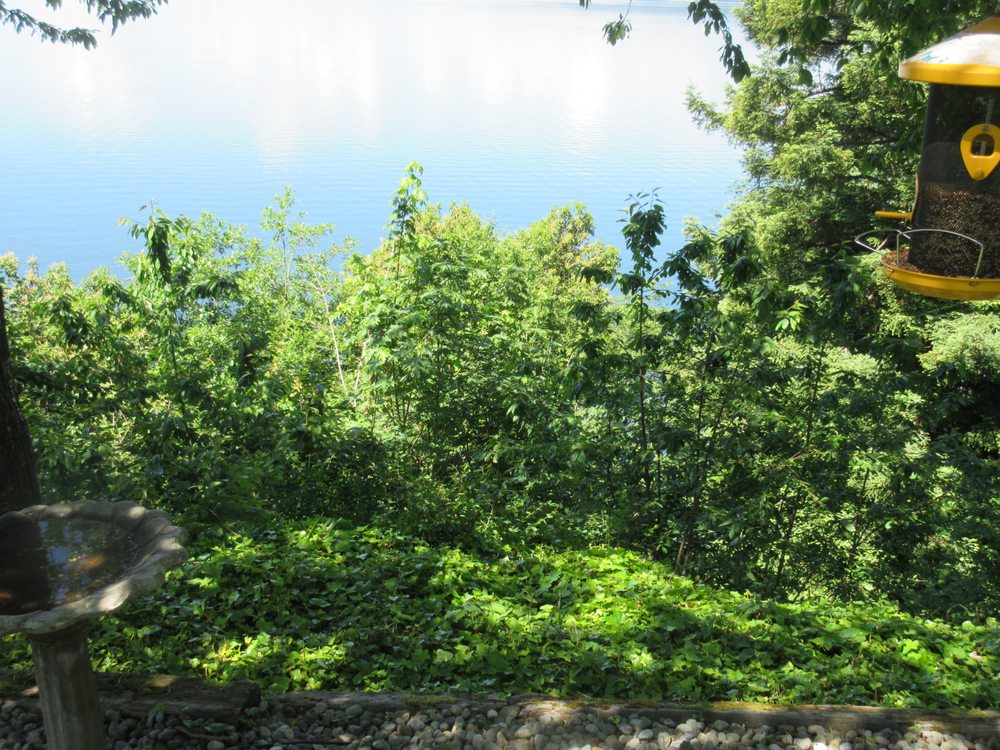 MowTowne Landscaping