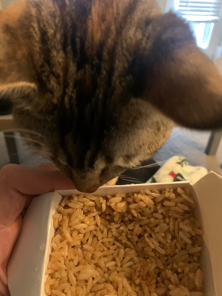 Golden Chopsticks