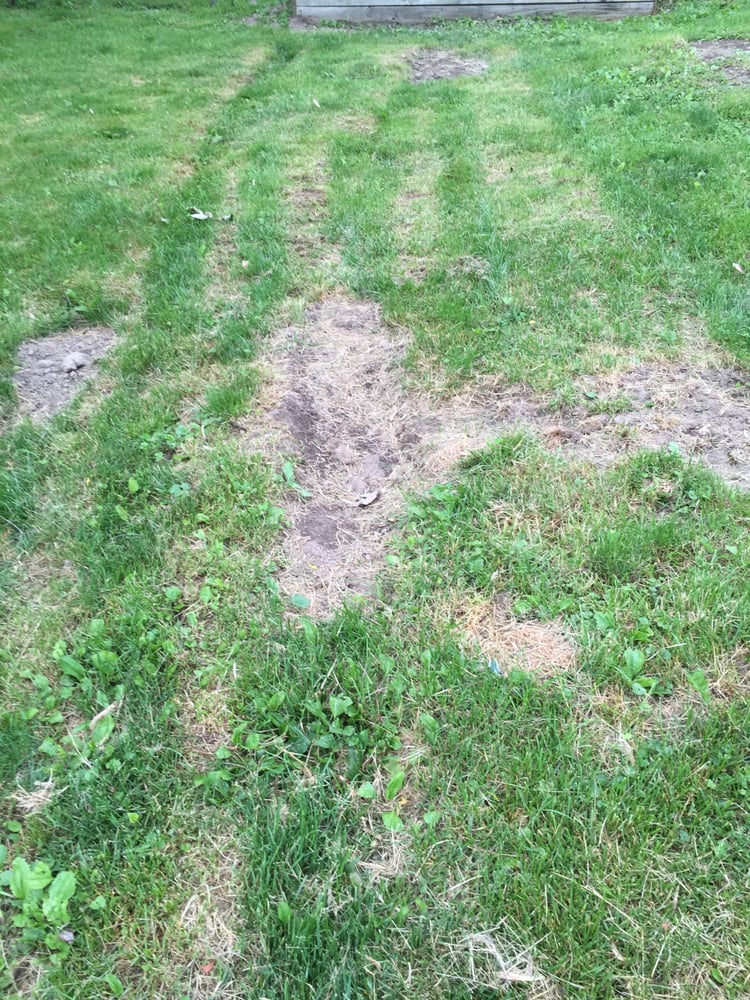 Kiefer Landscaping 17 Photos Landscaping 3110 S Banker St