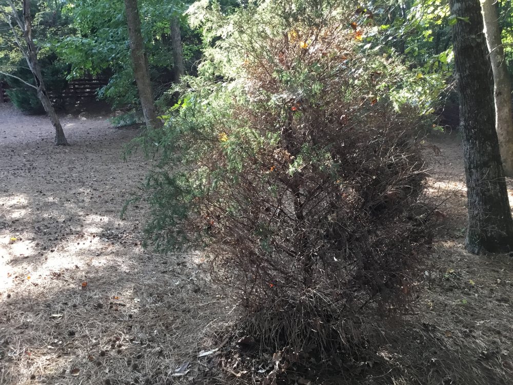 Hicks Landscape Contractors Inc