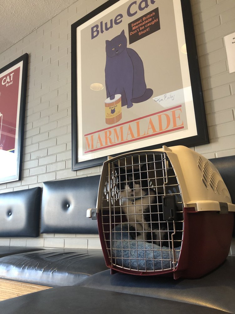 Atlantic Coast Veterinary Specialists