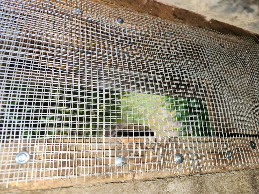 Attic And Crawlspace Experts