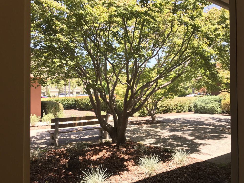 image of business Rossmoor Dental