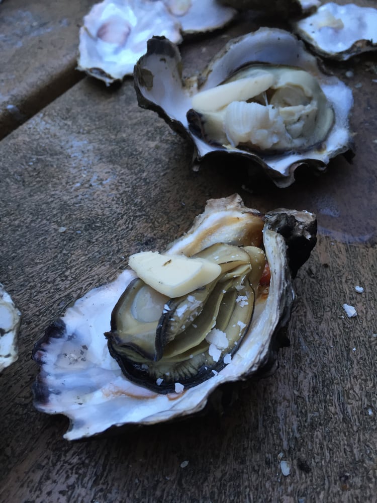 Brady’s Oysters 46 Photos & 38 Reviews Seafood Markets 3714