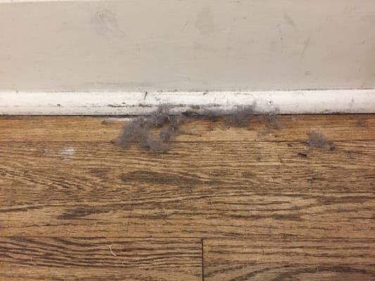 American Eagle Outfitters