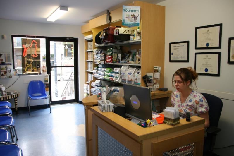 Clinique Vétérinaire Féline 11 Photos Vétérinaires 4102 Rue Saint